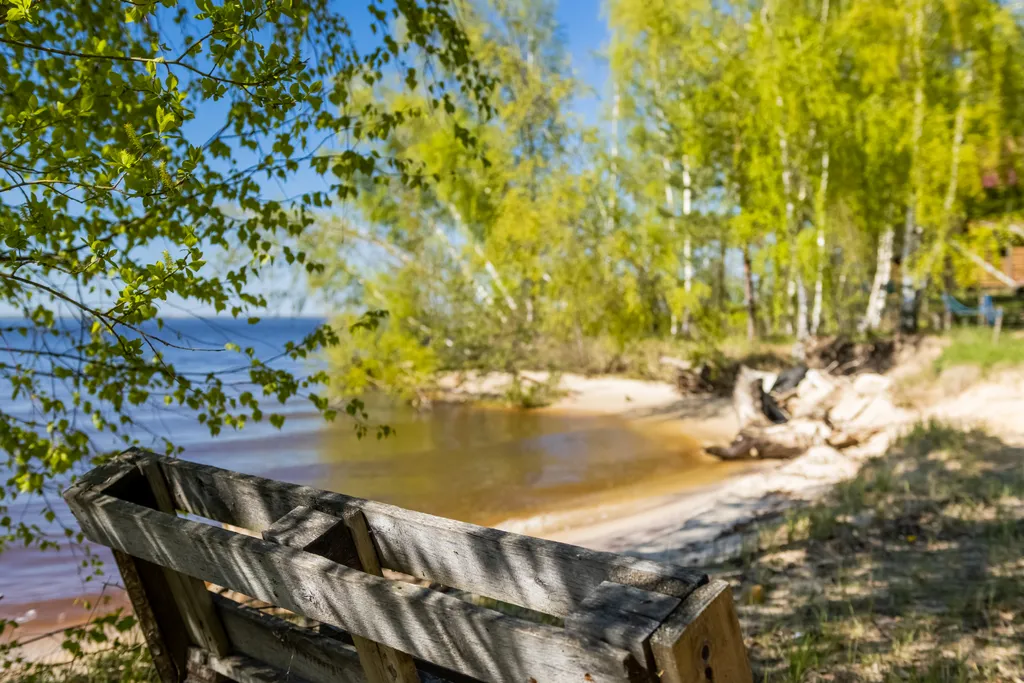 Коттедж на берегу моря