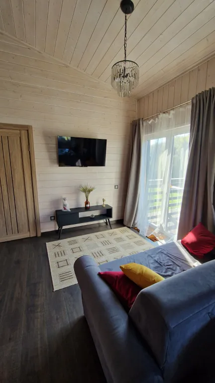 Ольшаны_Парк Дом Шале у леса с баней и горячей купелью