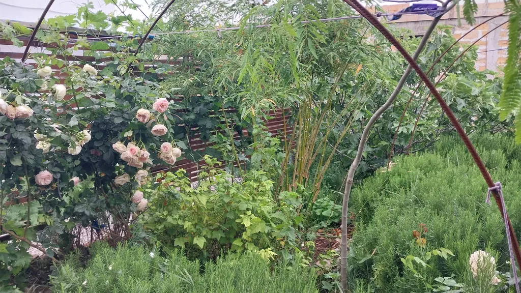 Вилла Санторини