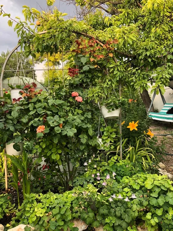 Коттедж Цветочный дворик — аренда посуточно в Черноморское