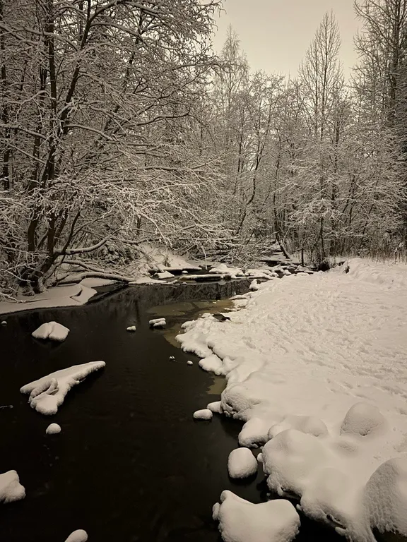 Квартира в Городе Солнца c видом на лес