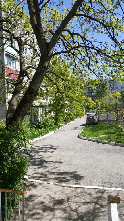 Квартира Трехкомнатная квартира в уютном спальном районе недалеко от моря — Новороссийск