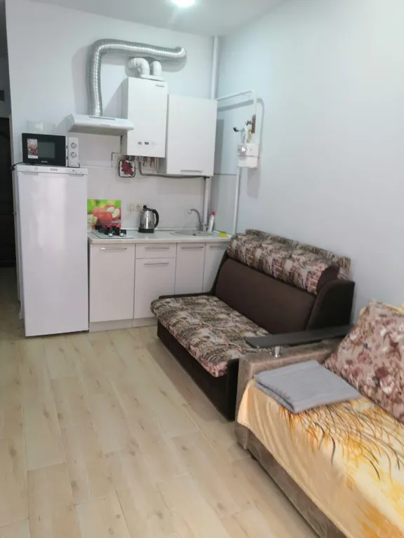 Квартира 1-комнатная Квартира — Сириус