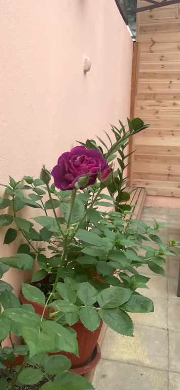 Коттедж Уютный домик в центре города — Махачкала