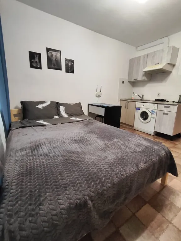 Уютная квартира-студия — аренда посуточно в Омск