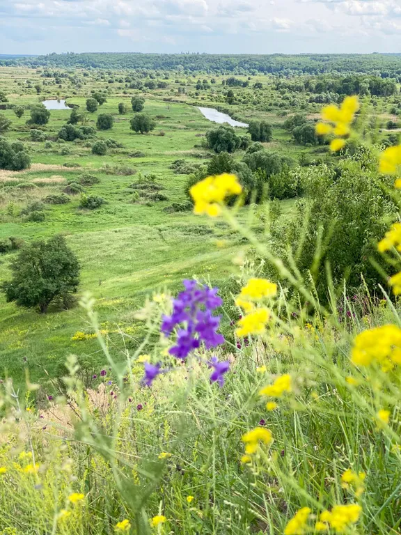 Дом в деревне с городским комфортом и русской баней