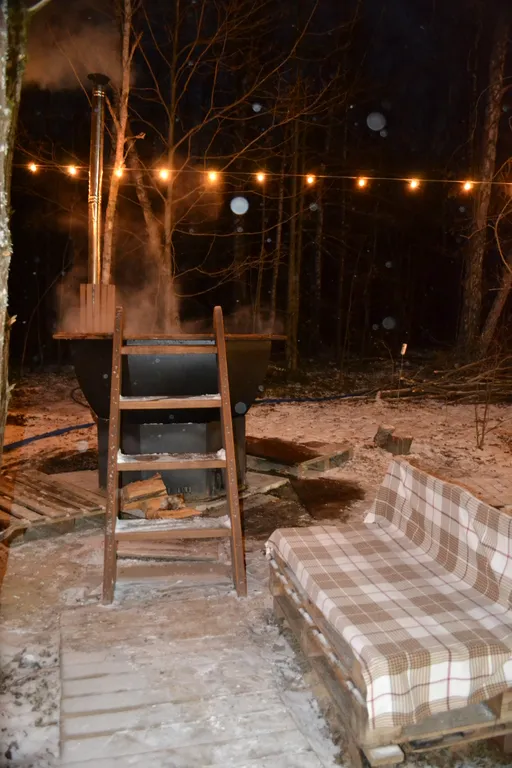 Дом O'Pushka space в березовом лесу