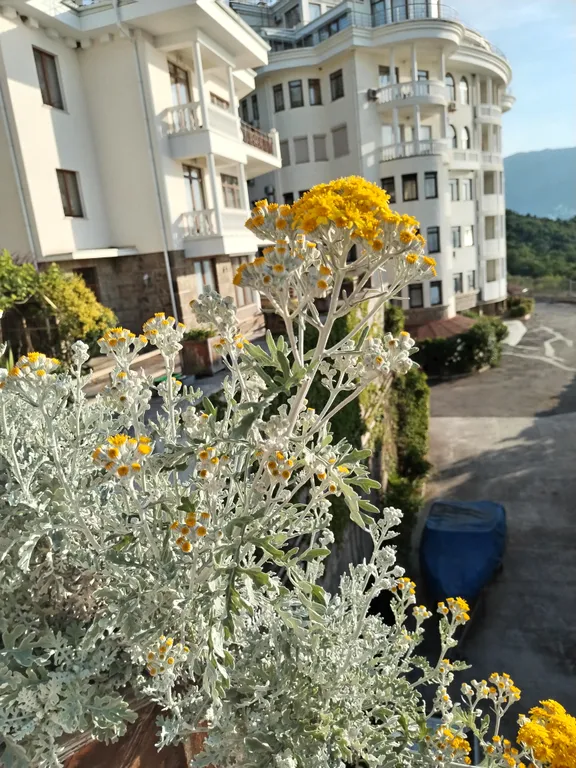 Апартаменты с видом на море