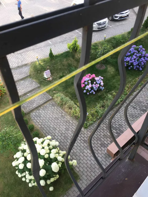 Квартира Квартира Янтарная долина — Светлогорск