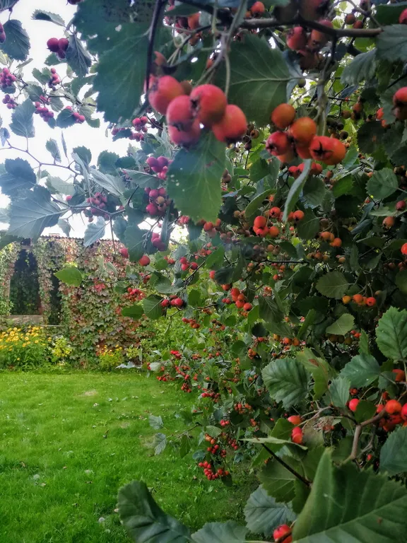 Просторный дом с живописным садом