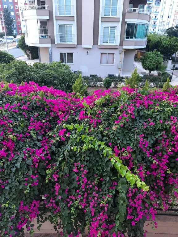 Квартира в престижном районе близко к морю