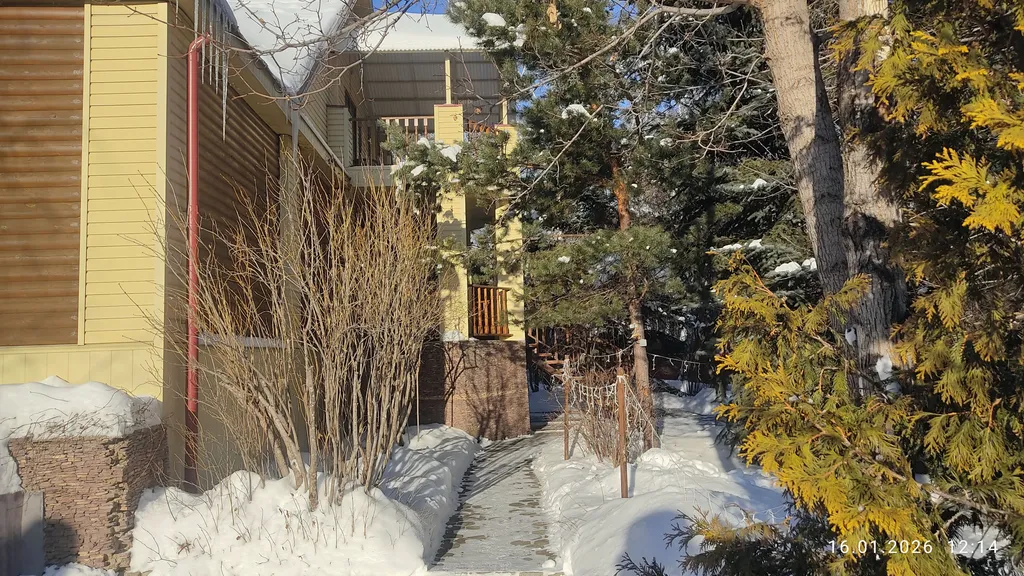 Уютный дом на опушке леса