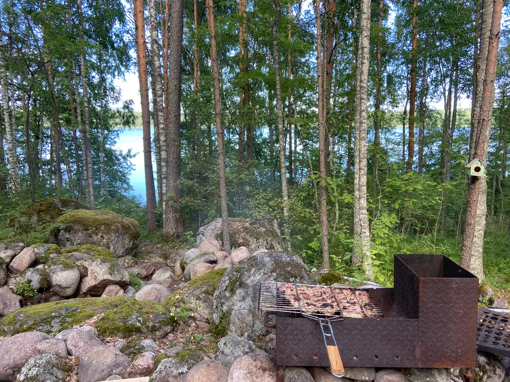 Хижина в лесу на берегу озера без соседей