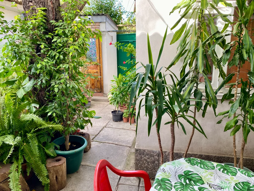 Уютный номер с удобствами рядом с морем