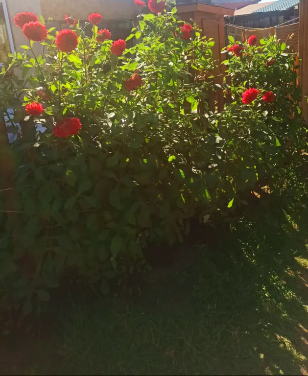 Бюджетная двухместная комната в домике