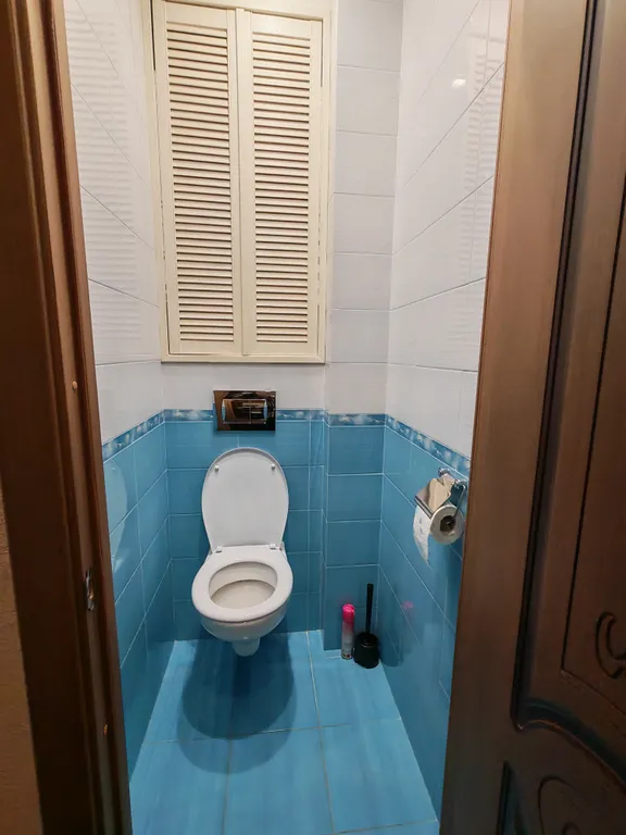 Квартира с кухней-гостиной рядом с озером Разлив