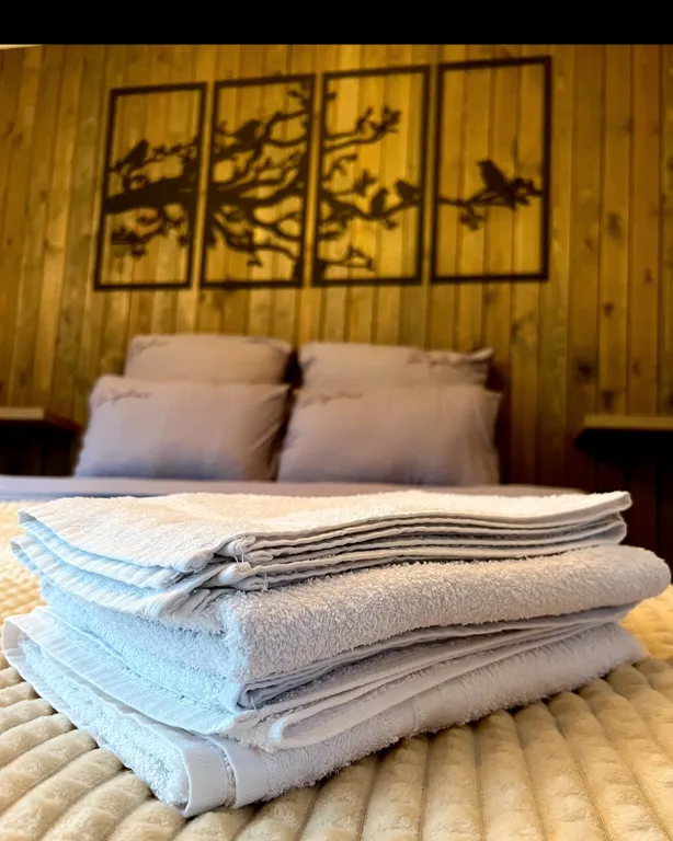 Коттедж Домик в лесу у реки с панорамным остеклением — Сиверский