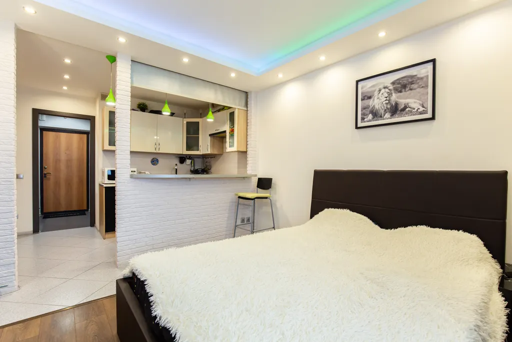 Шикарная студия с камином у метро