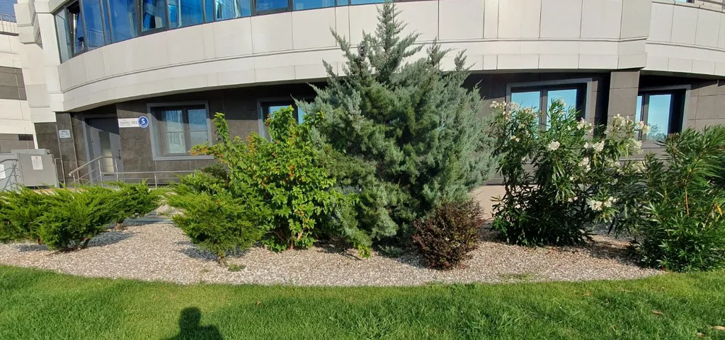 Новая дизайн студия в морской симфонии