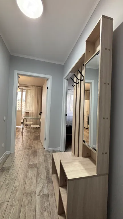 Уютная однокомнатная квартира