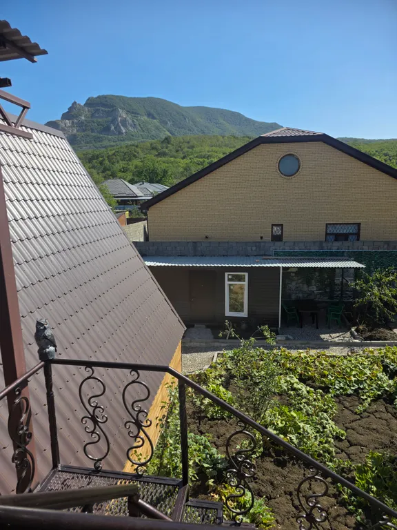 У дяди Жоры