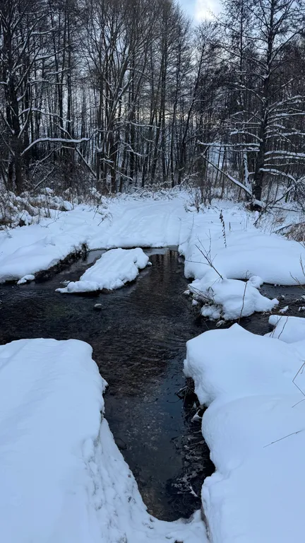 Уютный дом для душевного отдыха
