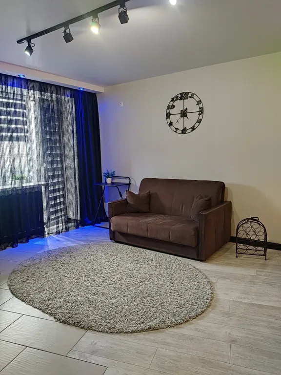 Квартира студия у Лидского замка