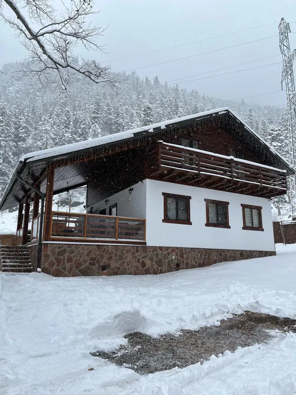 Двухэтажный коттедж в скандинавском стиле Орлиное поместье