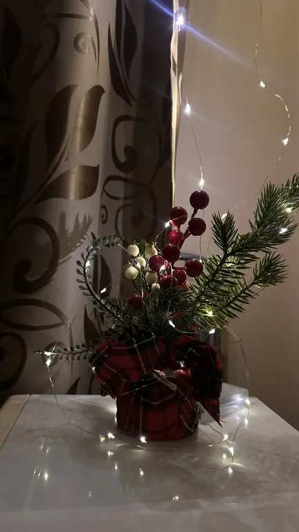 Квартира-студия, 20,6 м²