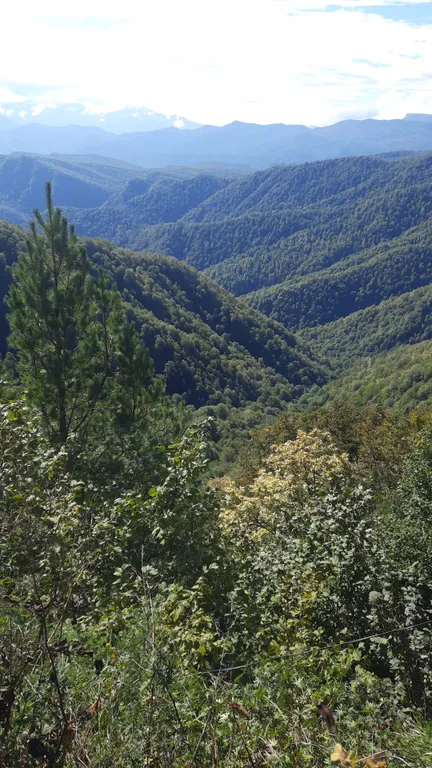 Уютный домик с чаном