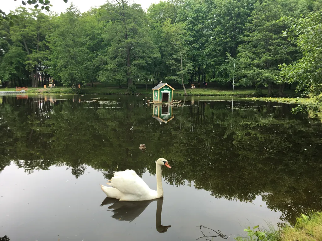 Квартира Уютная квартира в центре города — Зеленоградск