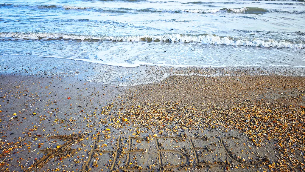 Эко коттедж с видом на море на 6 человек с отдельным двором