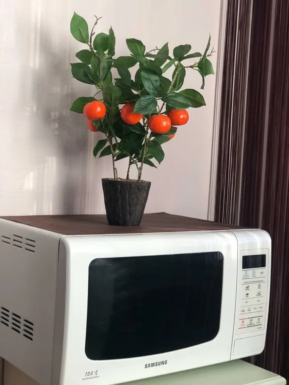 Стильная однушка в центре