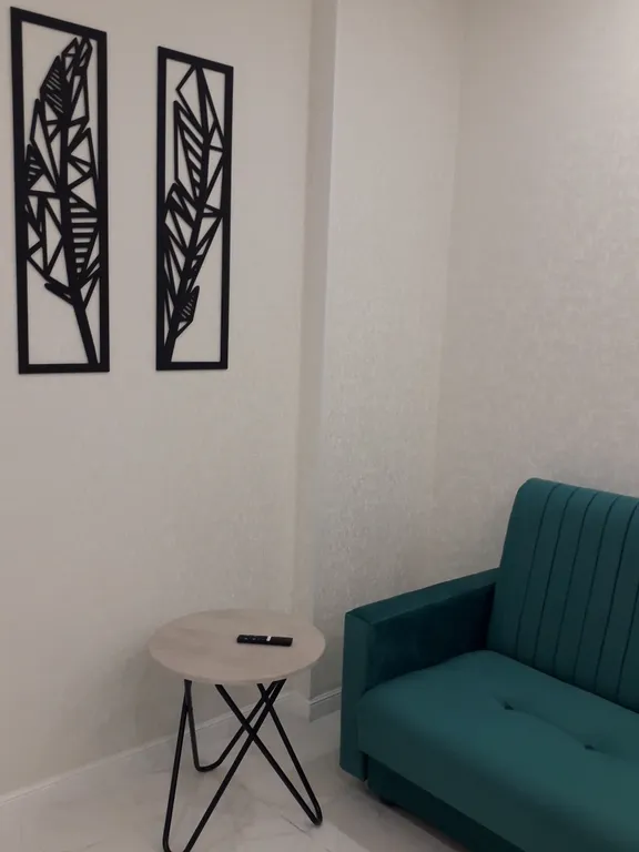 Уютная чистая квартира в новостройке