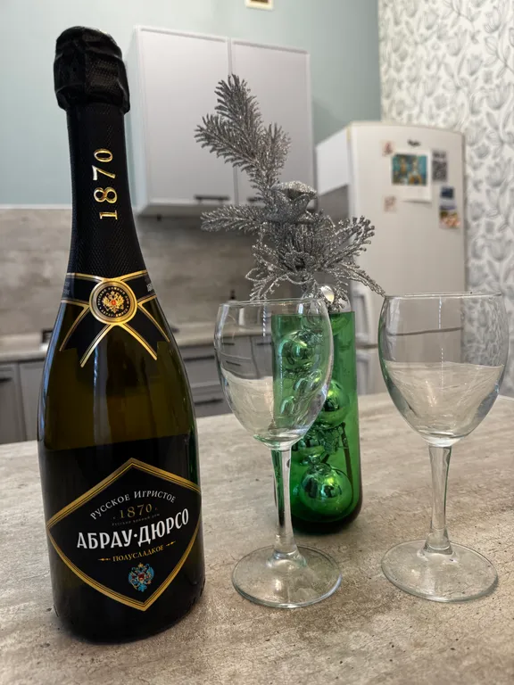 Апартамент с кухней в частном доме в 300 м от набережной