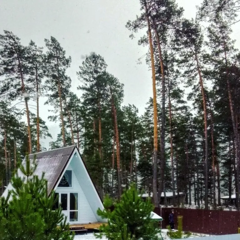 Дом у Катуни среди гор и многолетних сосен