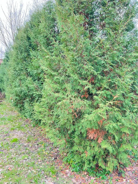 Апартаменты с видом на пруд