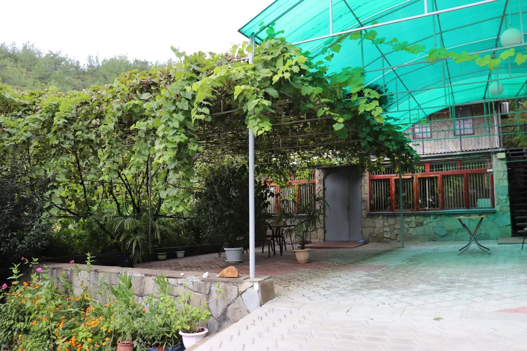 Коттедж Лесная Гавань