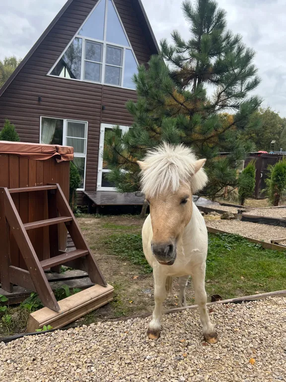 Бунгало Улей