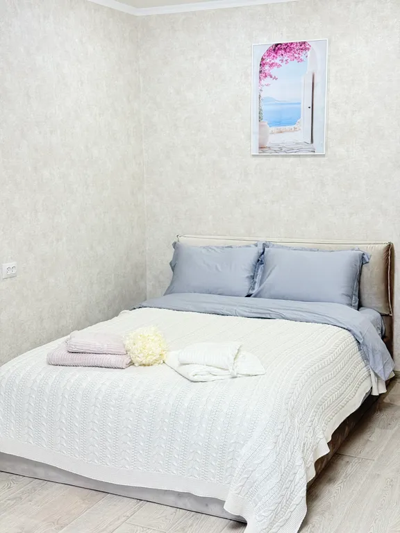 Уютная квартира с новым ремонтом и мебелью в центре