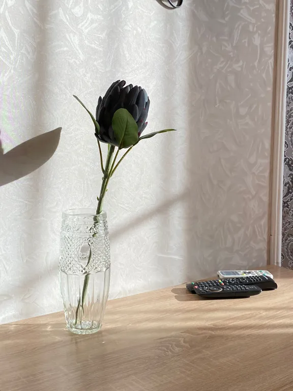 Апартаменты Вега рядом с Железнодорожный вокзалом