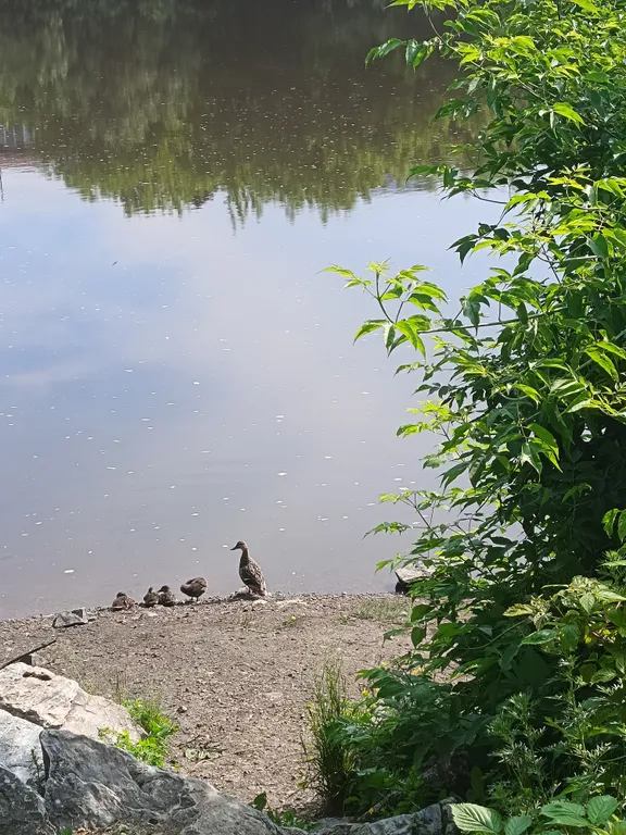 Уютный домик на берегу Реки. С чаном и с банькой.