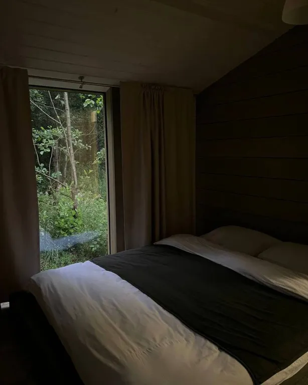 Коттедж Дом в лесу на берегу озера — Плодовое