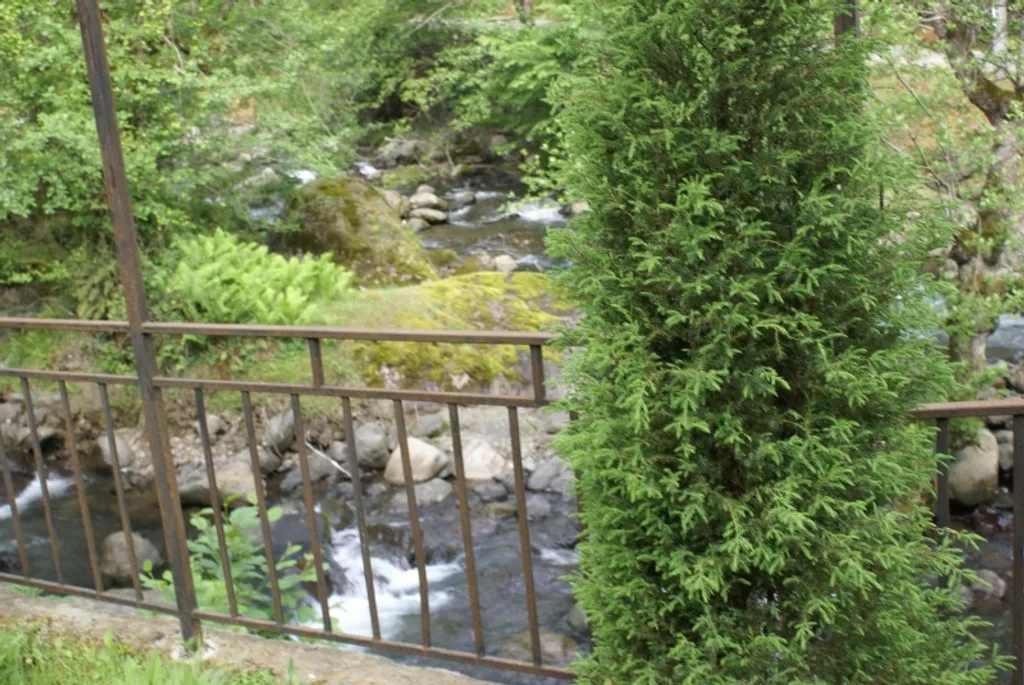 Квартира Квартира Дом в деревне на горной речке в 15 километрах от Батуми — Зеда Тхилнари