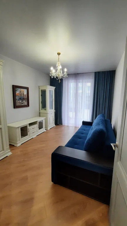 Янтарная чайка