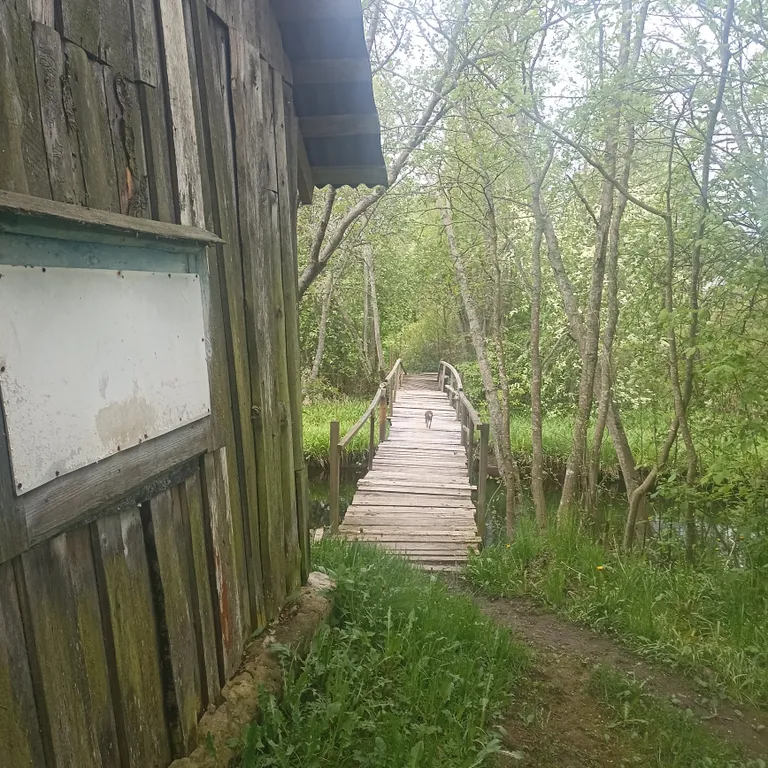 Уютный дом на берегу реки в 10 км от центра города Выборга