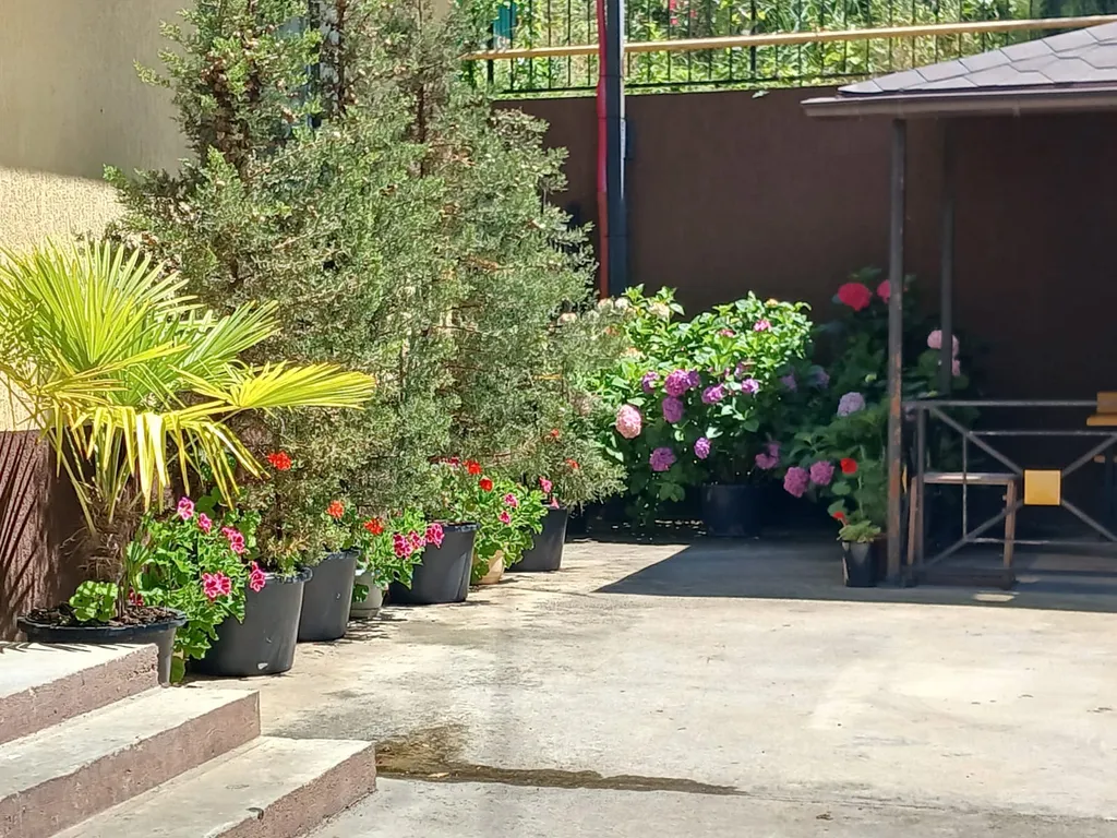 Квартира Квартира Эдельвейс — Адлер