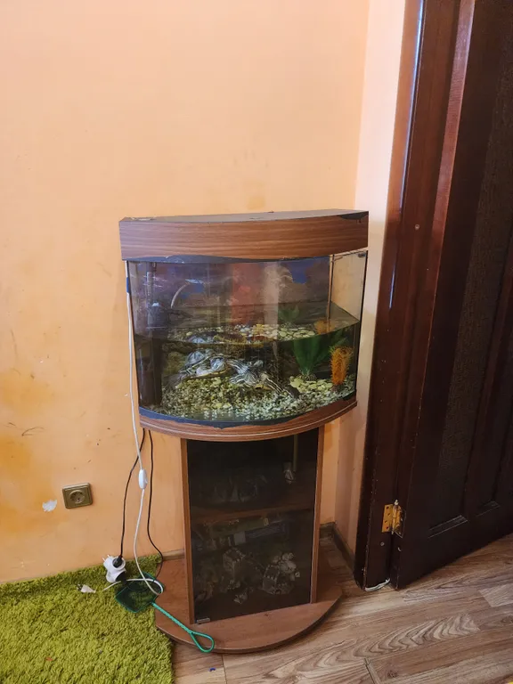 Дизайнерские апартаменты Райский уголок