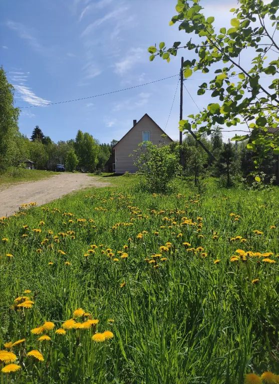 Дом для друзей Илвас