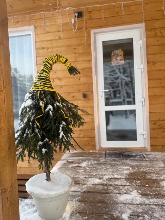 Дом в сосновом лесу